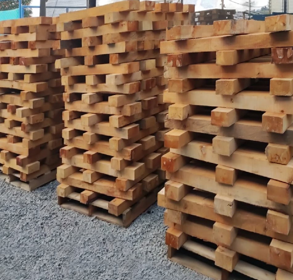 Certificacion NIMF15